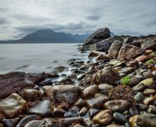 Scottish Shoreline ALT